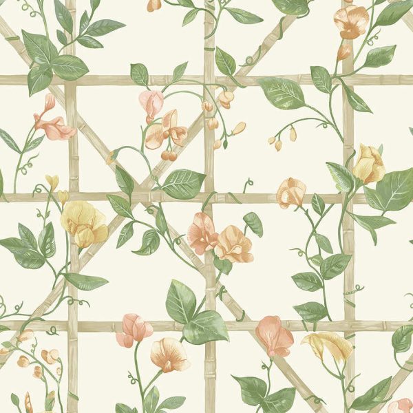 14200 Trailing Floral Trellis Orange Cream thumbnail