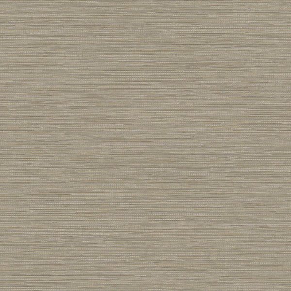 66231 Grasscloth texture Taupe