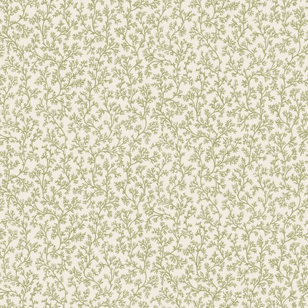 92040 Posidonia Sage Thumbnail