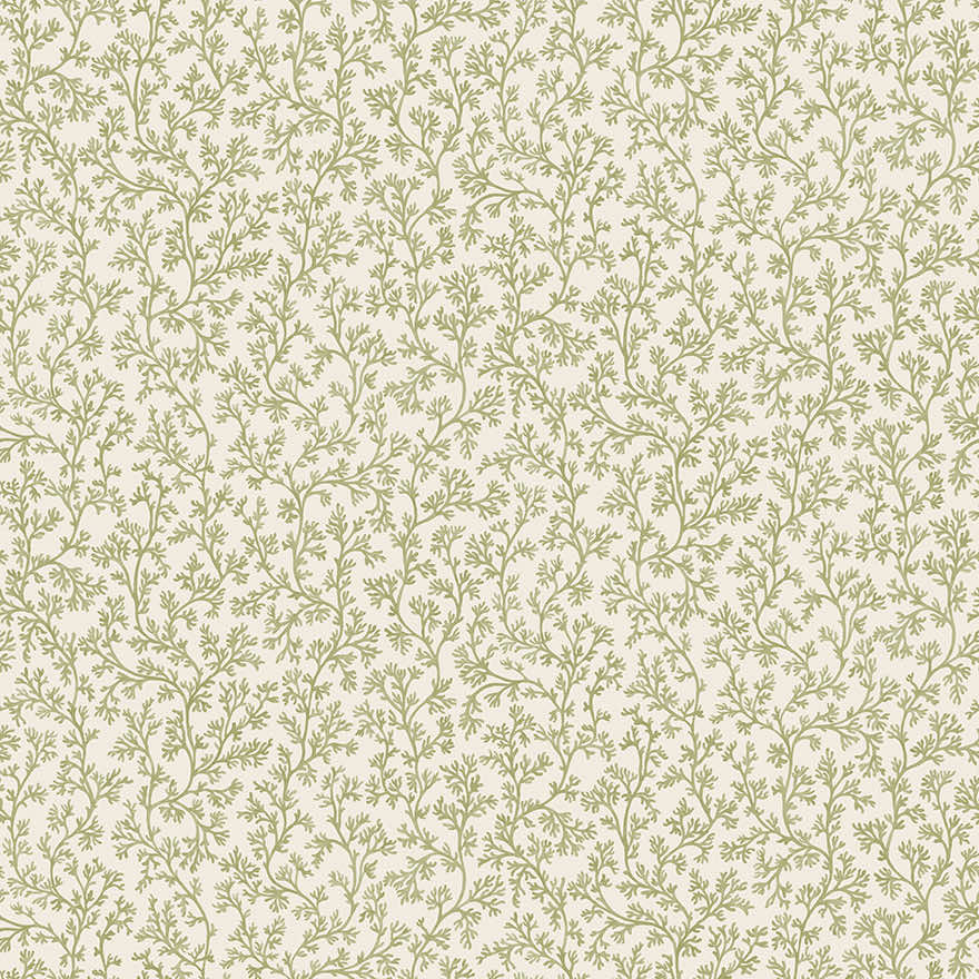 92040 Posidonia Sage Thumbnail