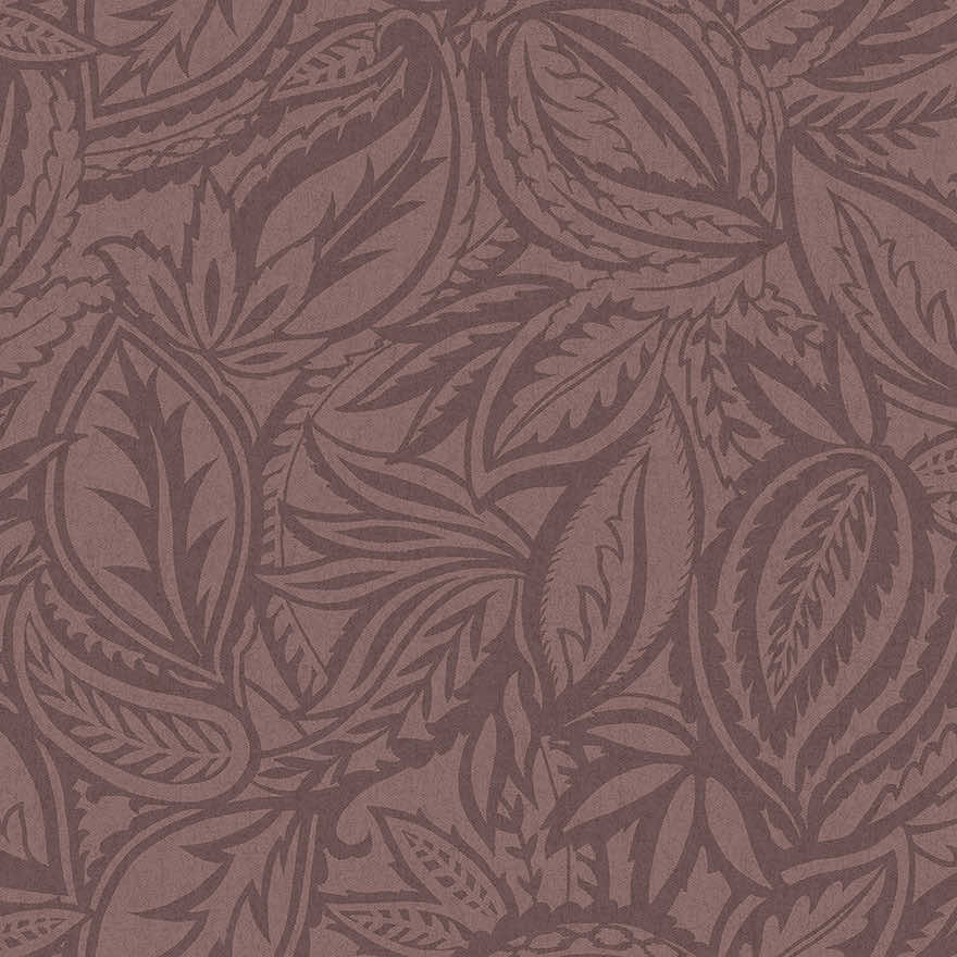 92184 Musa Maroon Thumbnail